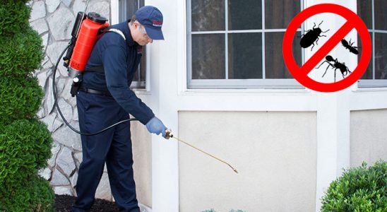 Güzelyalı Dezenfeksiyon böcek ilaçlama ve haşere kontrolü — ilaclama-tr.com